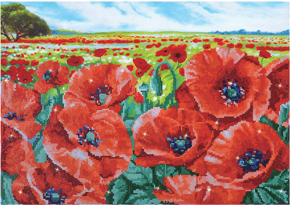 Diamond Dotz Complete Diamond Facet Art Kit - Red Poppy Field - DD10.013